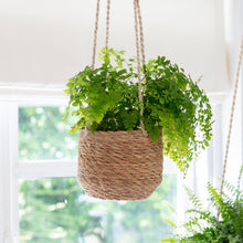 Load image into Gallery viewer, Hanging Plant Pot In Seagrass
