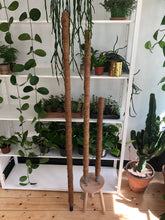 Load image into Gallery viewer, Coir Moss Poles - *Local Delivery or Local Pick Up Only*
