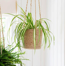 Load image into Gallery viewer, Hanging Plant Pot In Jute
