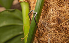Load image into Gallery viewer, Coir Moss Poles - *Local Delivery or Local Pick Up Only*
